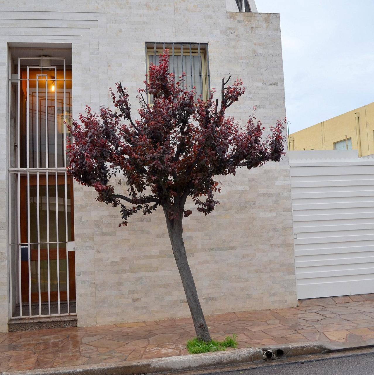 Vía Lavalle 1 * San Luis
